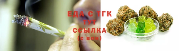 хмурый Алексин