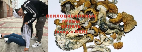 таблы Алзамай